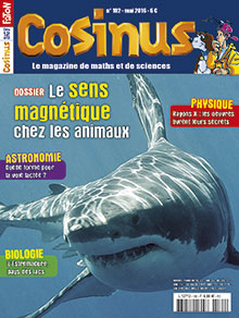 Le sens magnétique chez les animaux